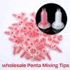 wholesale Penta Mixing Tips